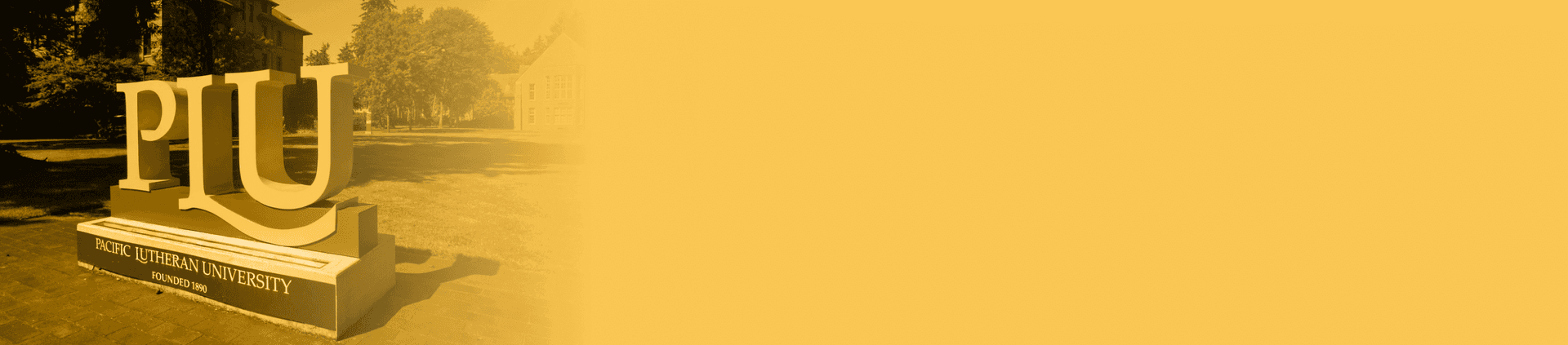 top-banner